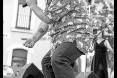 karl-w-davis-the-sweetpeas-cahors-blues-festival_14548597390_o