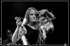 IMG_3246